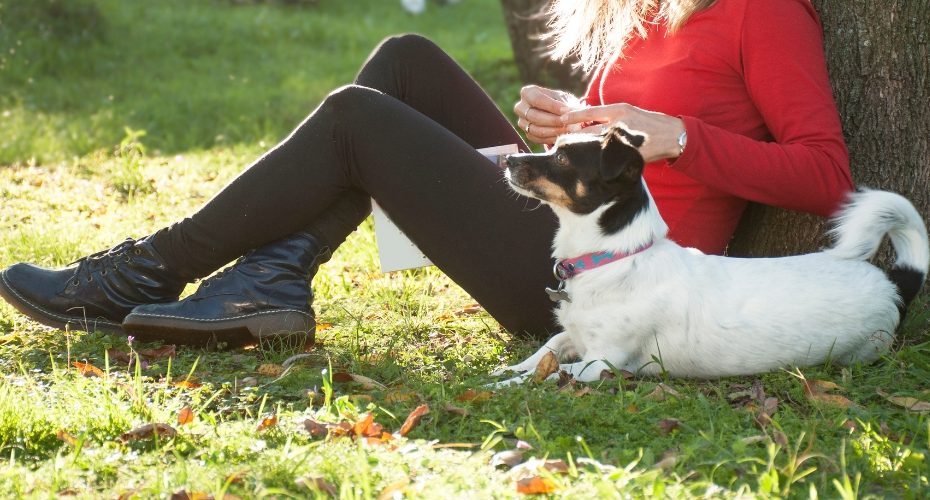 Convocatorias adolescentes más de 12 años. Córdoba, Argentina