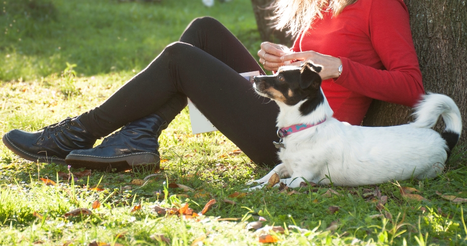 Convocatorias adolescentes más de 12 años. Córdoba, Argentina